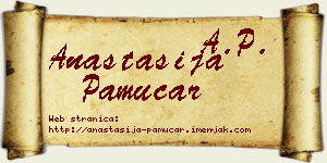 Anastasija Pamučar vizit kartica